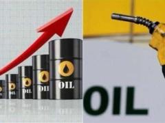 Crude Oil