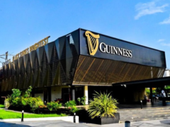 Guiness Nigeria Plc