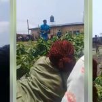 Moment Corps Members, INEC Staff Hid In A Bush After Thug Invasion During Election In Rivers [Video] 3